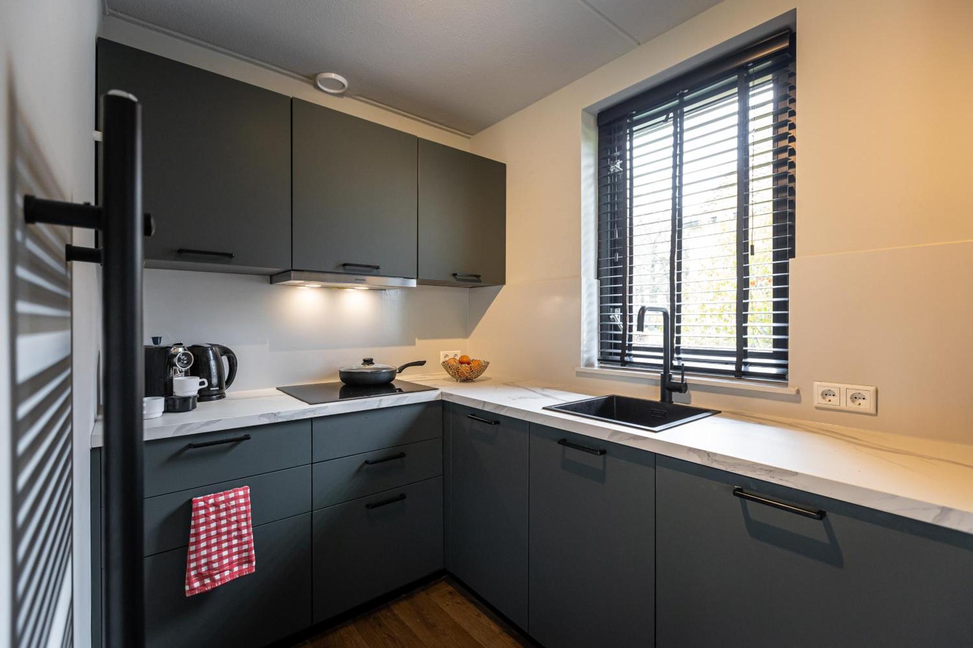 Luxe Vakantiehuisje - Sauna - Natuur - Strand Ewijk Экстерьер фото